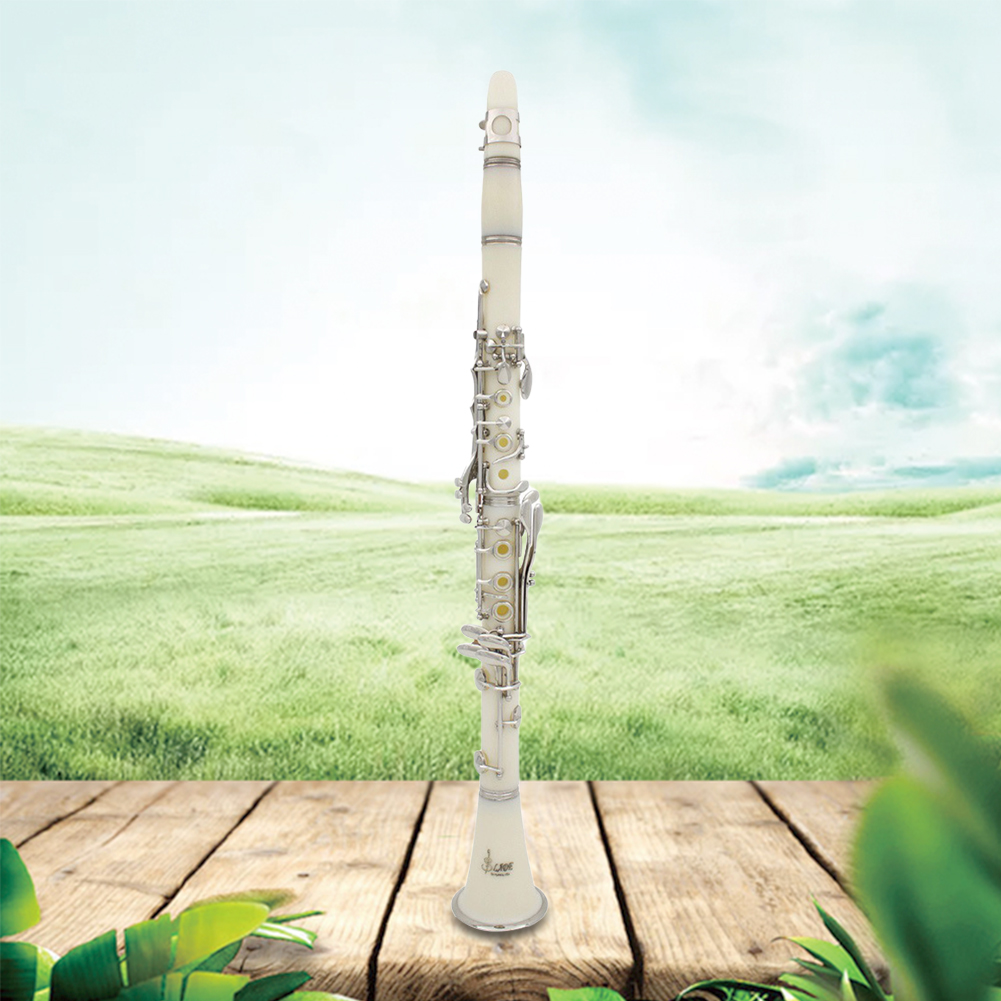 Musical Instrument In Orchestra - Clarinete Bb de 17 Llaves con