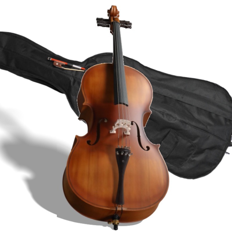 Musical Instrument In Orchestra - Violonchelo con panel de BASSWOOD de