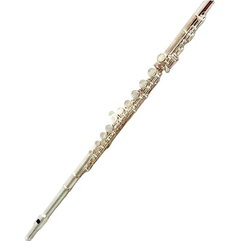 Musical Instrument In Orchestra - Flauta de 16/17 Orificios Plateada, Clave