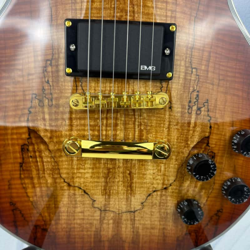 Guitarra Eléctrica de 39 Pulga - Electric Guitar Beginner reseña y precio