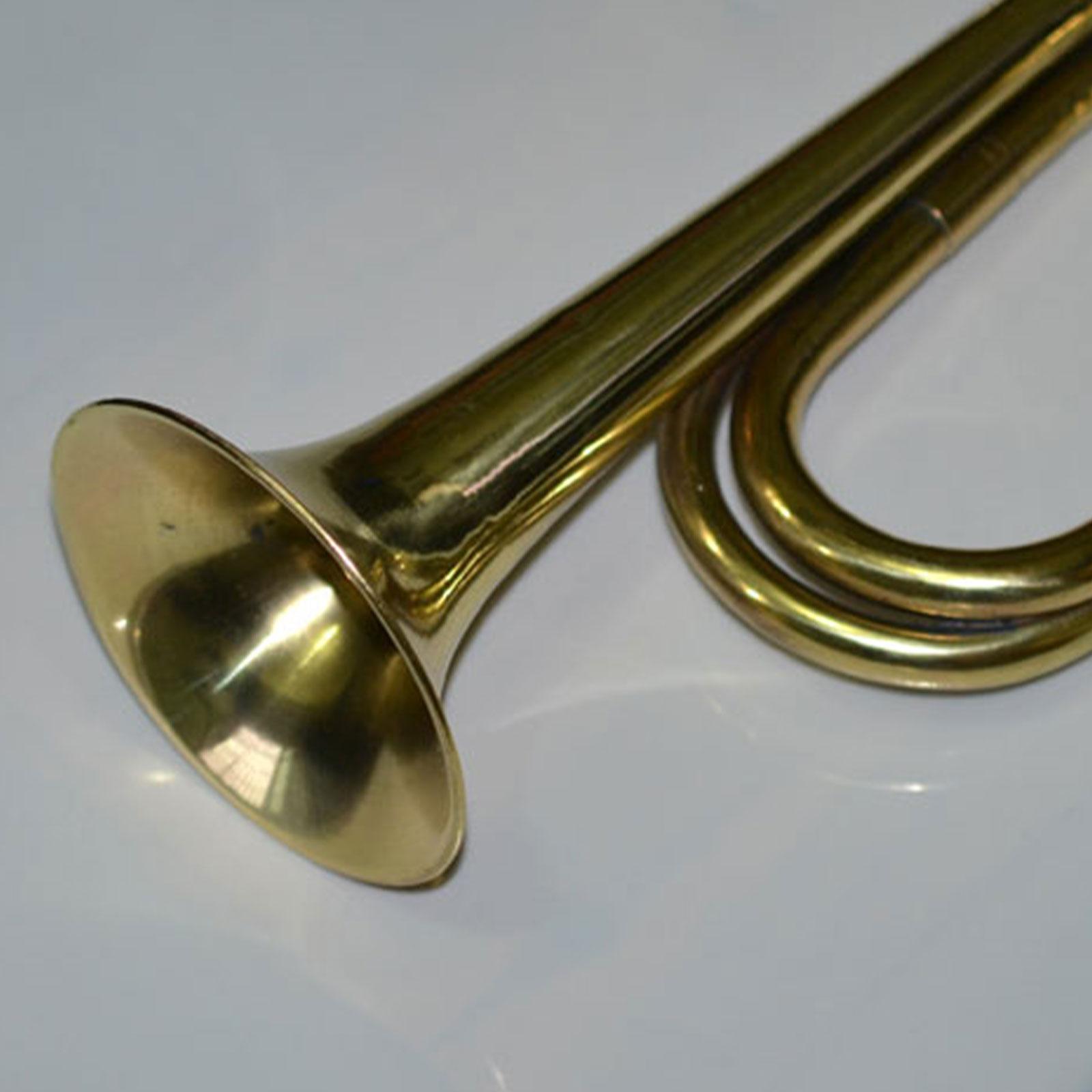 Trompeta de Camping, Instrumen - Musical Instrument In Orchestra reseña y precio