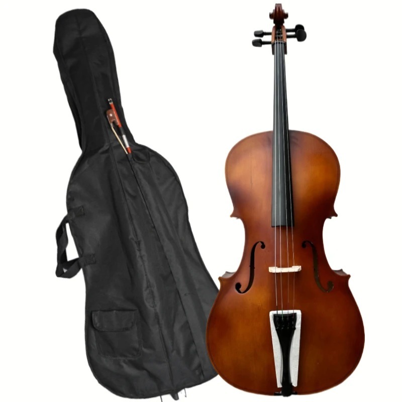 Violonchelo con panel de BASSW - Musical Instrument In Orchestra reseña y precio
