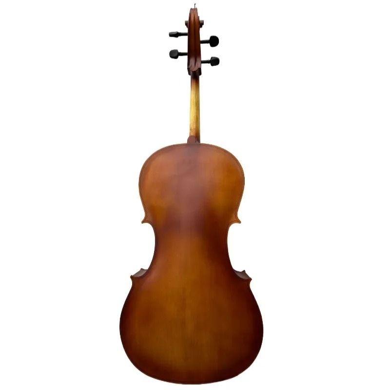 Violonchelo con panel de BASSW - Musical Instrument In Orchestra reseña y precio