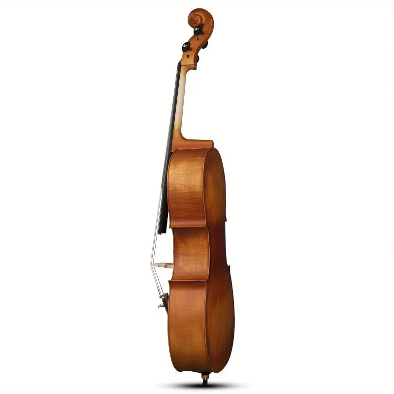 Violonchelo con panel de BASSW - Musical Instrument In Orchestra reseña y precio