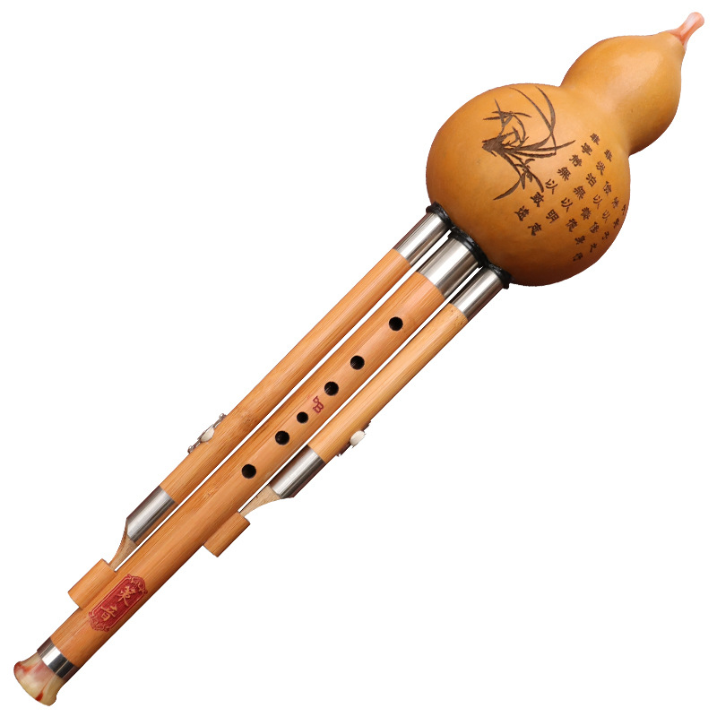Instrumento musical de seda de - Musical Instrument That You Blow Into reseña y precio