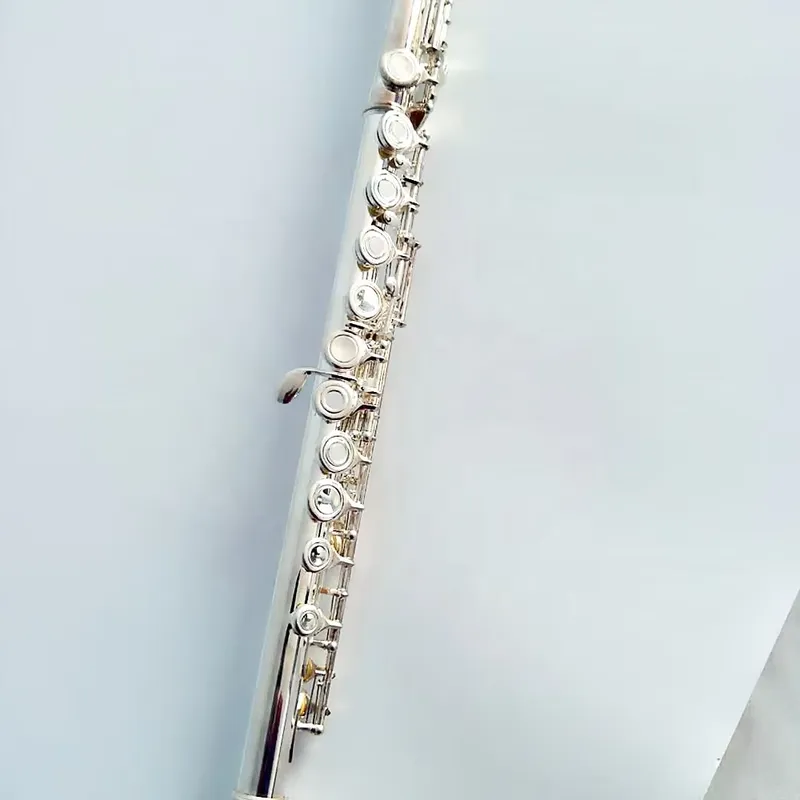 Flauta de 16/17 Orificios Plat - Musical Instrument In Orchestra reseña y precio