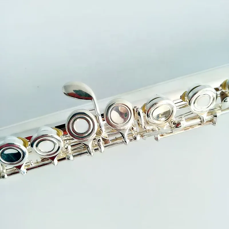 Flauta de 16/17 Orificios Plat - Musical Instrument In Orchestra reseña y precio
