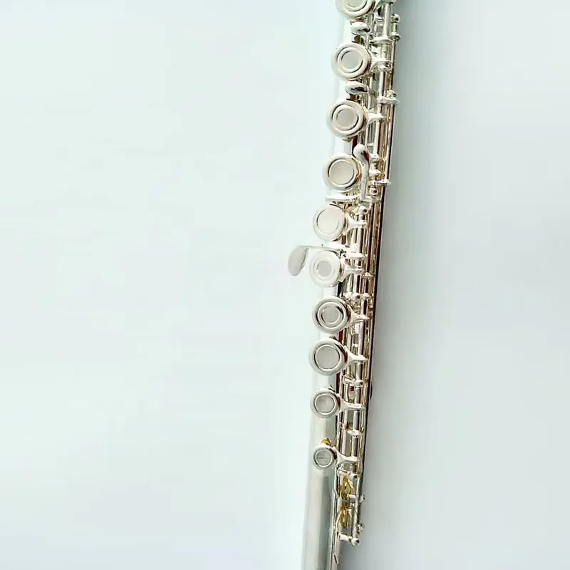 Flauta de 16/17 Orificios Plat - Musical Instrument In Orchestra reseña y precio